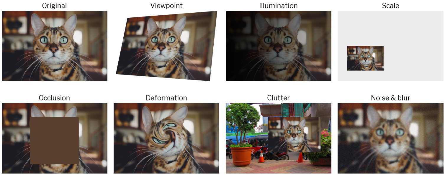 The same cat photo changed eight ways: original, seen from another angle, very dark, very small, partly covered by a block, twisted, placed on a busy Jakarta street, and blurred with noise