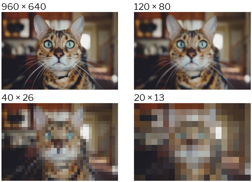 The same cat photo at 960 by 640, 120 by 80, 40 by 26 and 20 by 13 pixels, all shown at the same size; the small ones look like big blocks